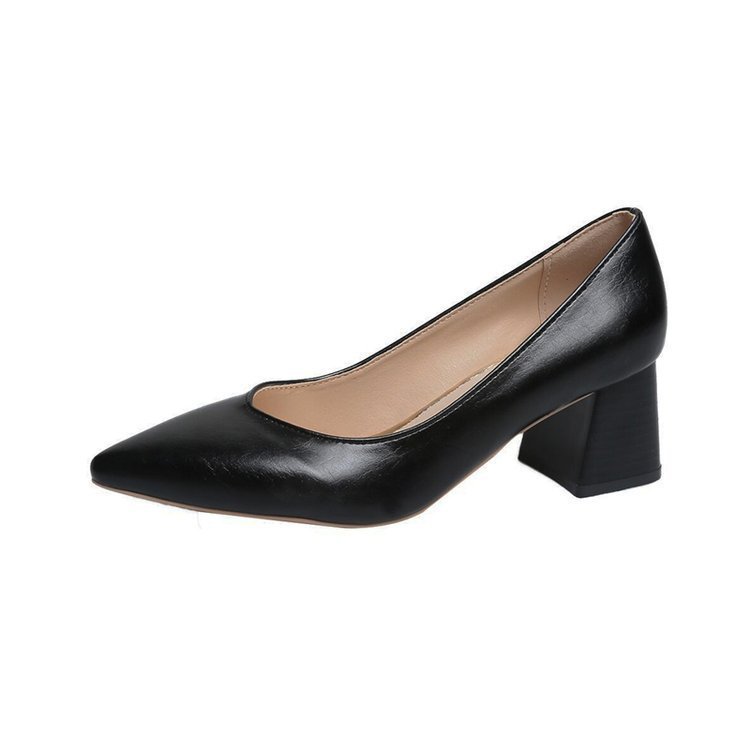 Pointed toe shoes with thick heels