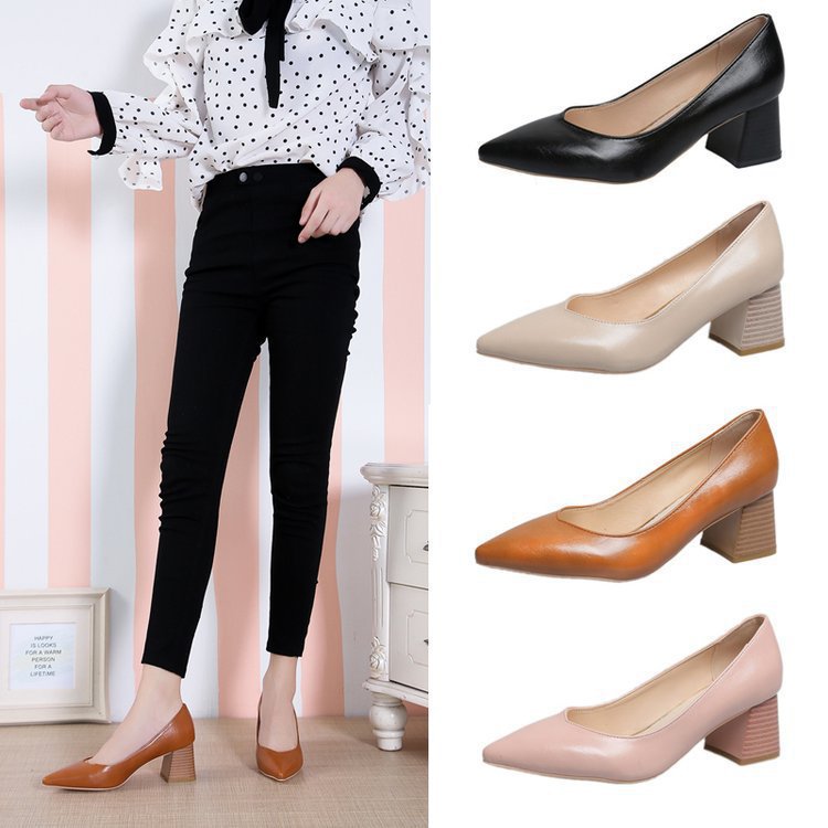 Pointed toe shoes with thick heels