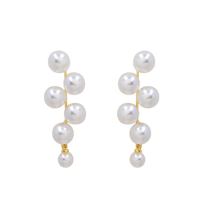 Gentle Pearl Earrings Net Celebrity Earrings Niche Design Sense Fashion Earrings Female Temperament Long Section
