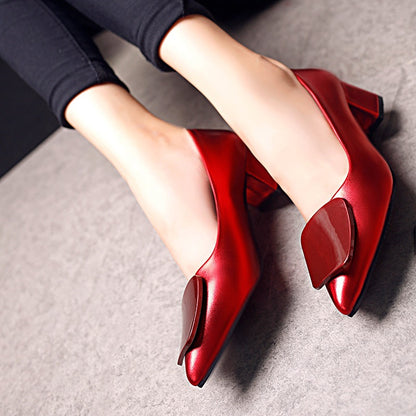 Pointed Shallow Mouth Women's Single Shoes Mid-heel Fashion Thick-heeled High Heels