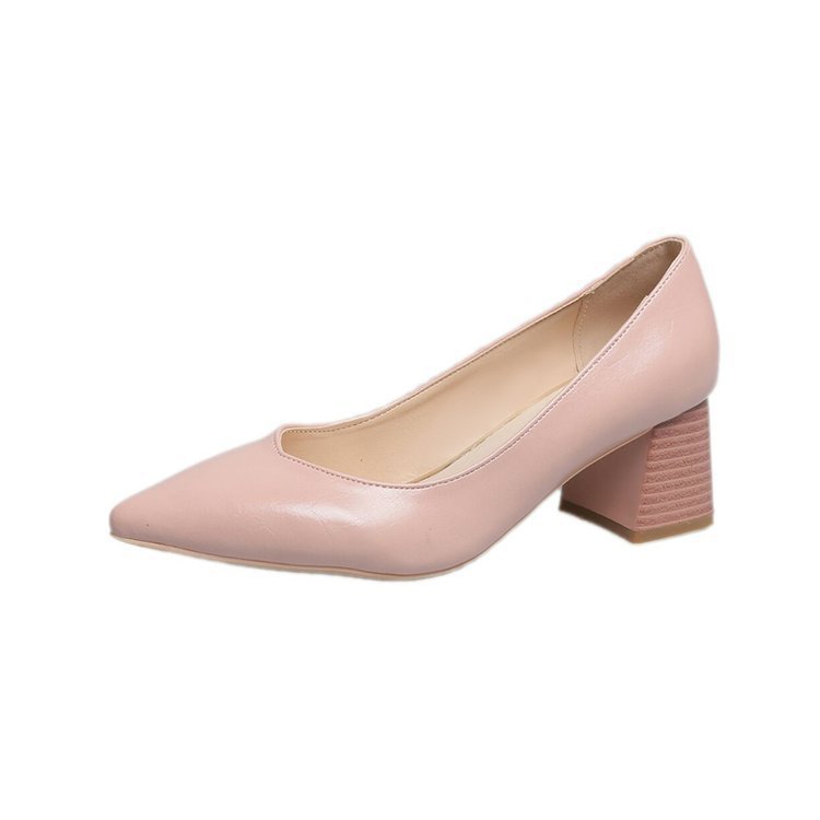 Pointed toe shoes with thick heels