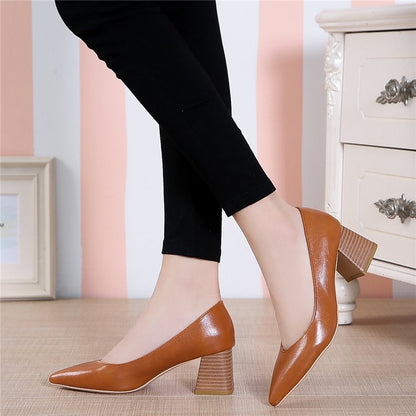 Pointed toe shoes with thick heels