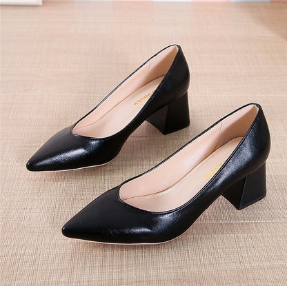 Pointed toe shoes with thick heels