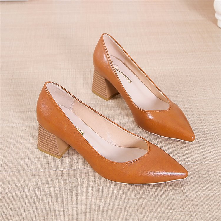 Pointed toe shoes with thick heels