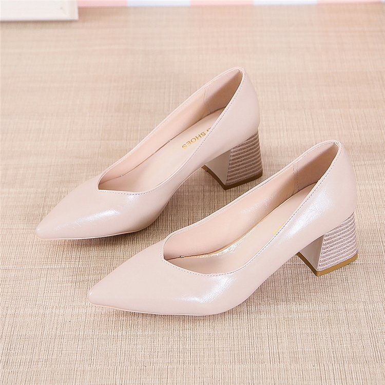Pointed toe shoes with thick heels